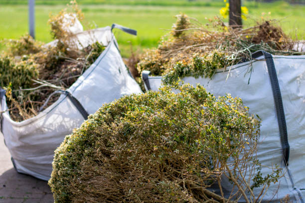 Recycling Services for Junk in Forestville, MD